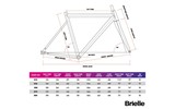 Фреймсет BJ Cycle Benetti (Brielle), белый, 53 см за 999,99 руб.