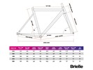 Фреймсет BJ Cycle Benetti (Brielle), чёрный, 55 см за 999,99 руб.