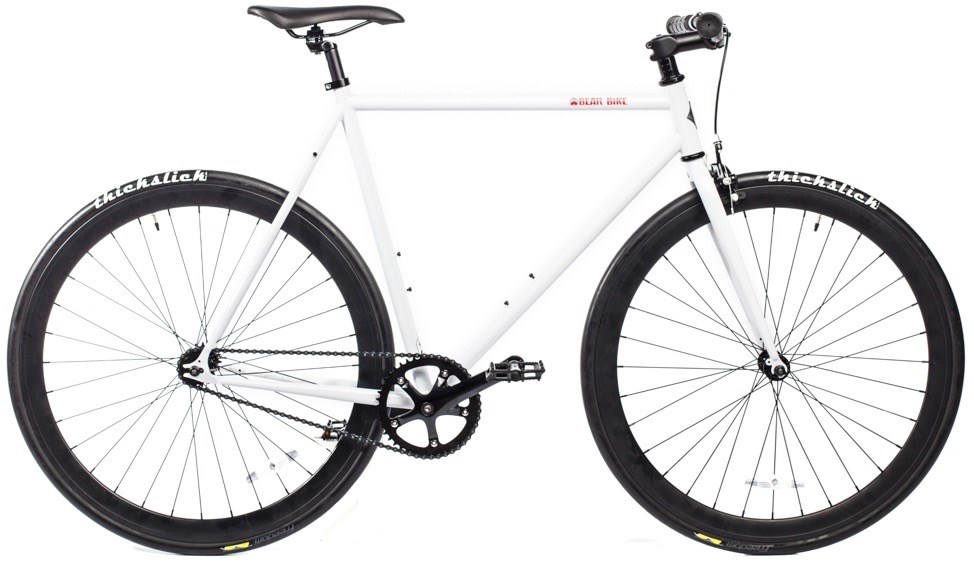 Bear Bike Dubai